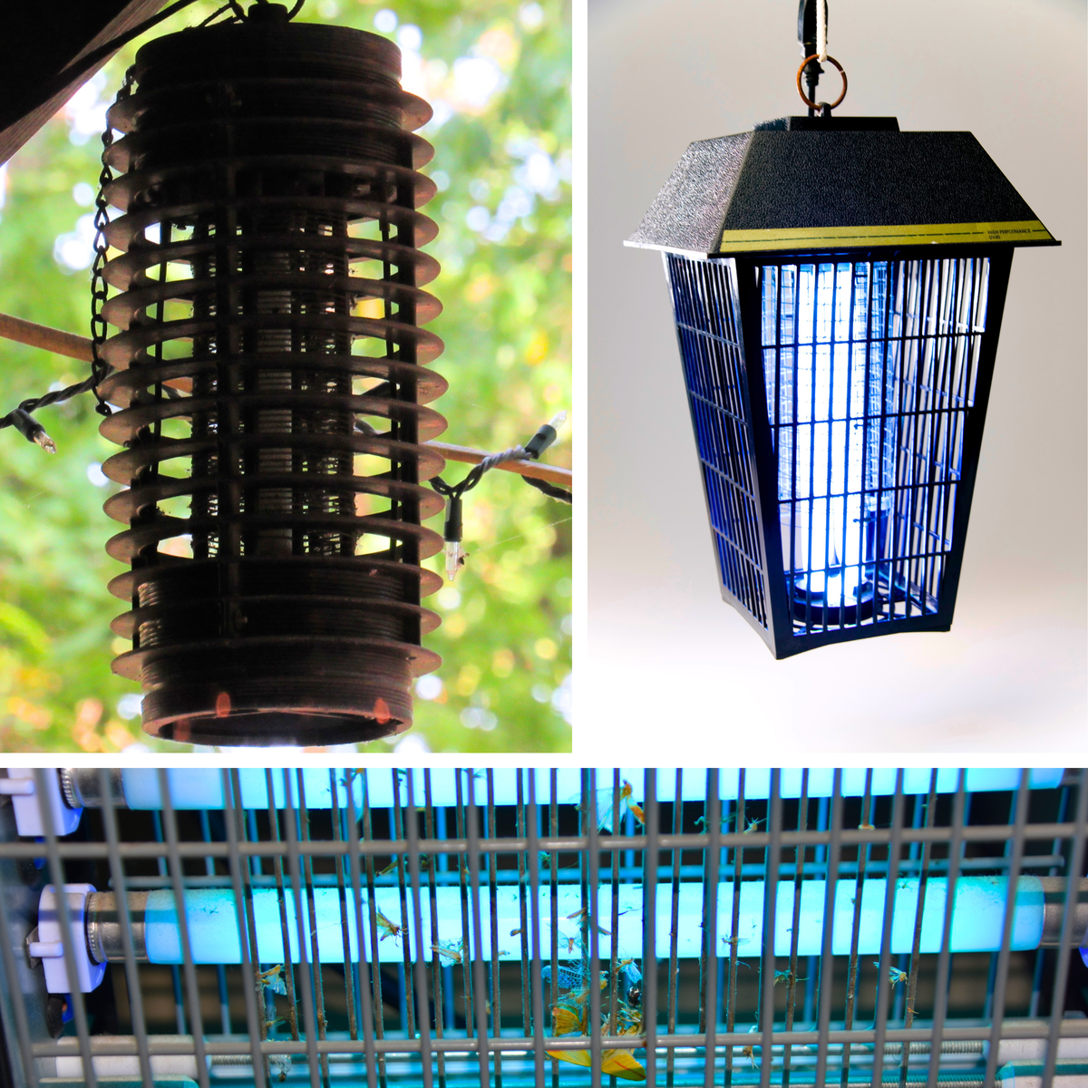 Bug zapper under porch, lit bug zapper, bug zapper with dead insects.