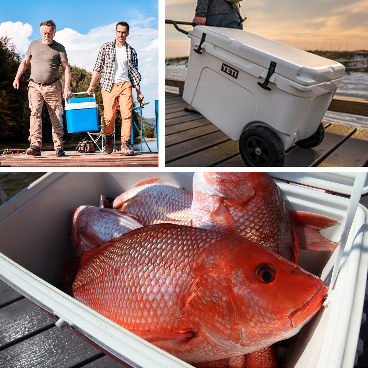 Men on dock with cooler, man with kayak and cooler, fish in marine cooler